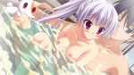  bathing game_cg hatsuyuki_sakura naked nipples tagme tamaki_sakura 