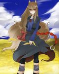  animal_ears brown_hair highres holo long_hair red_eyes solo spice_and_wolf tail tansuke wheat wolf_ears 