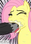  brony equine fellatio female feral fluttershy_(mlp) friendship_is_magic horse male mammal my_little_pony oral oral_sex penis pony sex straight 
