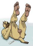  5_toes anus balls biceps canine chestnuts_(artist) claws dog green_eyes hindpaw human_feet male mammal muscles nude paws penis plantigrade soles solo toe_claws toes 