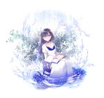  blue_flower blue_rose book breasts brown_eyes brown_hair chair cleavage dress flower long_hair looking_at_viewer original rocking_chair rose sitting small_breasts solo wemu_(ivycrown) white_dress 