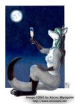  alcohol beverage breasts champagne collar female kacey kangaroo mammal marsupial moon nude solo 