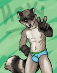  briefs bulge leomagna looking_at_viewer male mammal peace_sign purple_eyes raccoon solo underwear v_sign 
