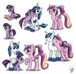  blue_eyes blue_hair blush book cadence_(mlp) cutie_mark equine female feral friendship_is_magic glancojusticar hair horn horse kissing magic male mammal multiple_poses my_little_pony princess_cadance_(mlp) shining_armor_(mlp) smile twilight_sparkle_(mlp) two_tone_hair unicorn winged_unicorn wings young 