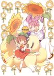  animal_ears bad_id bad_pixiv_id blade_(galaxist) blonde_hair blush brown_hair cat_ears cat_tail chen child fang flower fox_tail hat multiple_girls multiple_tails red_eyes short_hair smile sunflower tail touhou yakumo_ran yellow_eyes 