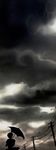  bird cloud cloudy_sky copyright_request dark_sky dress funakura power_lines scenery school_uniform silhouette skirt sky solo telephone_pole umbrella wind 