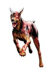  animal blood bone capcom cerberus doberman dog injury resident_evil ribs running sharp_teeth simple_background solo white_background white_eyes zombie 