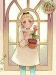  1girl aqua_legwear arch black_bow blonde_hair blush bow brown_eyes day dress flower hair_bow hanging_plant high_ponytail holding indoors long_sleeves looking_away original outstretched_hand pantyhose parted_lips plant ponytail potted_plant red_flower shiina_aya solo tulip white_dress window 