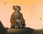  eyes_closed feline female ipoke kung_fu_panda mammal master_tigress meditation petals smile stripes tiger 