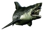  capcom fish lowres no_humans resident_evil shark white_background 