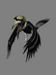  bird capcom great_indian_ great_indian_hornbill hornbill no_humans resident_evil resident_evil_outbreak 