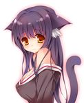  animal_ears bare_shoulders black_hair blush breasts cat_ears cat_tail covered_nipples fang highres long_hair looking_at_viewer medium_breasts orange_eyes original rayn simple_background solo tail white_background 