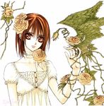  brown_eyes brown_hair cross_yuki dress flower hino_matsuri rose solo vampire_knight wings yellow_flower yellow_rose 