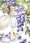  barefoot blue_eyes brown_hair fairy feet food fruit grapes hair_ornament hair_up holding holding_food holding_fruit minigirl original shiitake_(gensoudou) solo standing wings 
