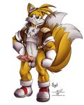  diphallism fox knot male mammal miles_prower multi_cock muscles penis sega solo sonic_(series) tails wolfblade 