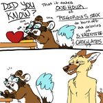  &hearts; blue_eyes brown_fur canine chocolate comic dog eating english_text female fur holidays humor male mammal michelle_(spamcat) nom raccoon smirk spamcat text the_truth valentine&#039;s_day valentine's_day 