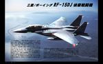 airplane beach city drop_tank emblem f-15_eagle flying from_above japan_air_self-defense_force japan_self-defense_force jet military missile no_humans ocean pilot river text_focus translated what_if zephyr164 