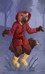  canine demicoeur fox male mammal outside rain raincoat solo unknown_species 