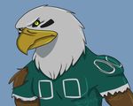  avian bald_eagle bird clothing eagle football green_topwear neck_ruff philadelphia_eagles shirt torn_clothing torn_shirt torn_topwear yunalee 