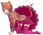  animal_ears bad_id bad_pixiv_id cat_ears original shinosuke_(artist) solo tail thighhighs 