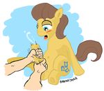  bronyjakk caramel friendship_is_magic my_little_pony tagme 