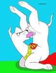  krypto krypto_the_superdog tagme tbfm 