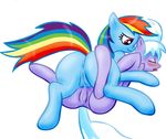  cloudchaser friendship_is_magic my_little_pony rainbow_dash warden 
