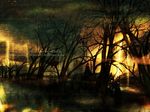  dark forest glowing glowing_eyes haruo_(clownberry) horror_(theme) nature poem translated tree wallpaper 
