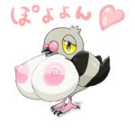  ce-502 pidove pokemon tagme 