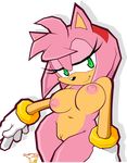  amy_rose breasts female gomi-sama green_eyes hair hairband looking_at_viewer pink_hair pussy sega solo sonic_(series) sonic_team 