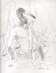  beak egyptian feathers heather_bruton ibis male solo wings 
