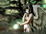  angel_wings closed_eyes collar dark forest nature original solo tomomimi_shimon wallpaper watermark wings 