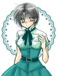  1girl black_hair brown_eyes ranma_1/2 short_hair tendo_akane tendou_akane 