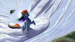  cloud clouds cutie_mark detailed_background equine eyewear farm female feral forest friendship_is_magic goggles hair hi_res horse lake mammal mountain multi-colored_hair my_little_pony pegasus pony ponyville propeller purple_eyes rainbow_dash_(mlp) rainbow_hair road tank_(mlp) tortoise town tree tsitra360 wings wood 