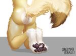  2018 alphaafterdark ambiguous_gender anthro canine digital_media_(artwork) dobermanmoralist fennec fox mammal nude paws presenting solo 