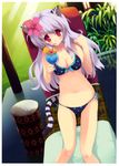  animal_ears bikini cleavage nekomimi sacchi scanning_resolution swimsuits tail 