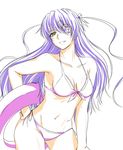  1girl artist_request barasuishou bikini flower green_eyes ishii_hisao purple_hair rozen_maiden solo swimsuit 