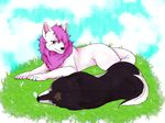  animal ginga_nagareboshi_gin grass pink_dragon_(ginga_nagareboshi_gin) sleeping wolf 