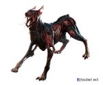  bone capcom cerberus collar doberman dog ear ears facebook highres muscle official_art resident_evil resident_evil_operation_raccoon_city teeth 