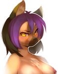  amber_eyes black_hair black_nose breasts bust canine dog female hair kanel long_hair looking_at_viewer mammal multi-colored_hair muzzle nipples nude pointy_ears purple_hair raised_eyebrow short_hair solo tamaskan tamaskan_dog val_mal yellow_eyes 