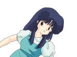  blue_hair brown_eyes long_hair ranma_1/2 tendo_akane tendou_akane 