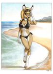  beach bikini blonde_hair brown_eyes cervine clothed clothing deer dustmeat eyewear female hair hooves looking_at_viewer mammal megan_giles navel seaside skimpy solo sunglasses swimsuit 