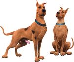  3d balls canine collar dog doopenis feral male mammal penis scooby-doo scooby-doo_(series) sheath solo testicals 
