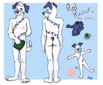  canine dalmatian dog green_eyes hoodie male mammal maxi-rover nude profile sea_salt solo 