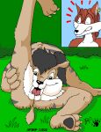 anthro autocunnilingus black_hair black_nose black_pawpads brown_body brown_eyes brown_fur canid canine digital_media_(artwork) duo ear_piercing ear_ring fangs felid female fox fur hair harley_(kthanid) kthanid_(artist) male male/female mammal masturbation oral oral_masturbation pawpads piercing raised_leg ring_piercing rutwell_forest saber-toothed_tiger sabertooth_(anatomy) story_at_source striped_body striped_fur stripes teeth tongue tongue_out toony vaginal vaginal_masturbation wannah_(kthanid)