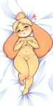  1girl animal_crossing animal_ears animal_nose barefoot bed_sheet blonde_hair blue_eyes blush body_fur breasts bright_pupils collarbone commentary completely_nude covering_breasts covering_privates dakimakura_(medium) dog_ears dog_girl english_commentary forehead from_above full_body furry furry_female groin half-closed_eyes hands_up heart highres hitmanatee isabelle_(animal_crossing) knee_up legs looking_at_viewer lying medium_breasts navel nude on_back open_mouth parted_bangs pointy_ears raised_eyebrows short_hair solo stomach teeth thick_thighs thighs topknot two-tone_fur white_background white_pupils wide_hips yellow_fur 