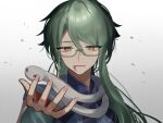  1boy baizhu_(genshin_impact) blood blood_from_mouth brown_eyes commentary genshin_impact glasses green_hair grey_background hair_between_eyes highres long_hair looking_at_viewer male_focus parted_lips portrait semi-rimless_eyewear sidelocks simple_background slit_pupils snake solo tsukuno_tsuki under-rim_eyewear 