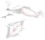  ambiguous_gender anus disembodied_hand hand lando male penis sketch 