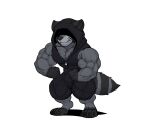 anthro biceps big_muscles bulge flexing kheel male mammal muscular muscular_legs muscular_male pecs procyonid raccoon simple_background sleeveless_hoodie solo vein veiny_muscles white_background