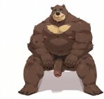 2023 absurd_res anthro balls bear black_nose brown_body genitals hi_res humanoid_genitalia humanoid_hands humanoid_penis jumperbear kemono male mammal musclegut overweight overweight_male penis simple_background sitting solo
